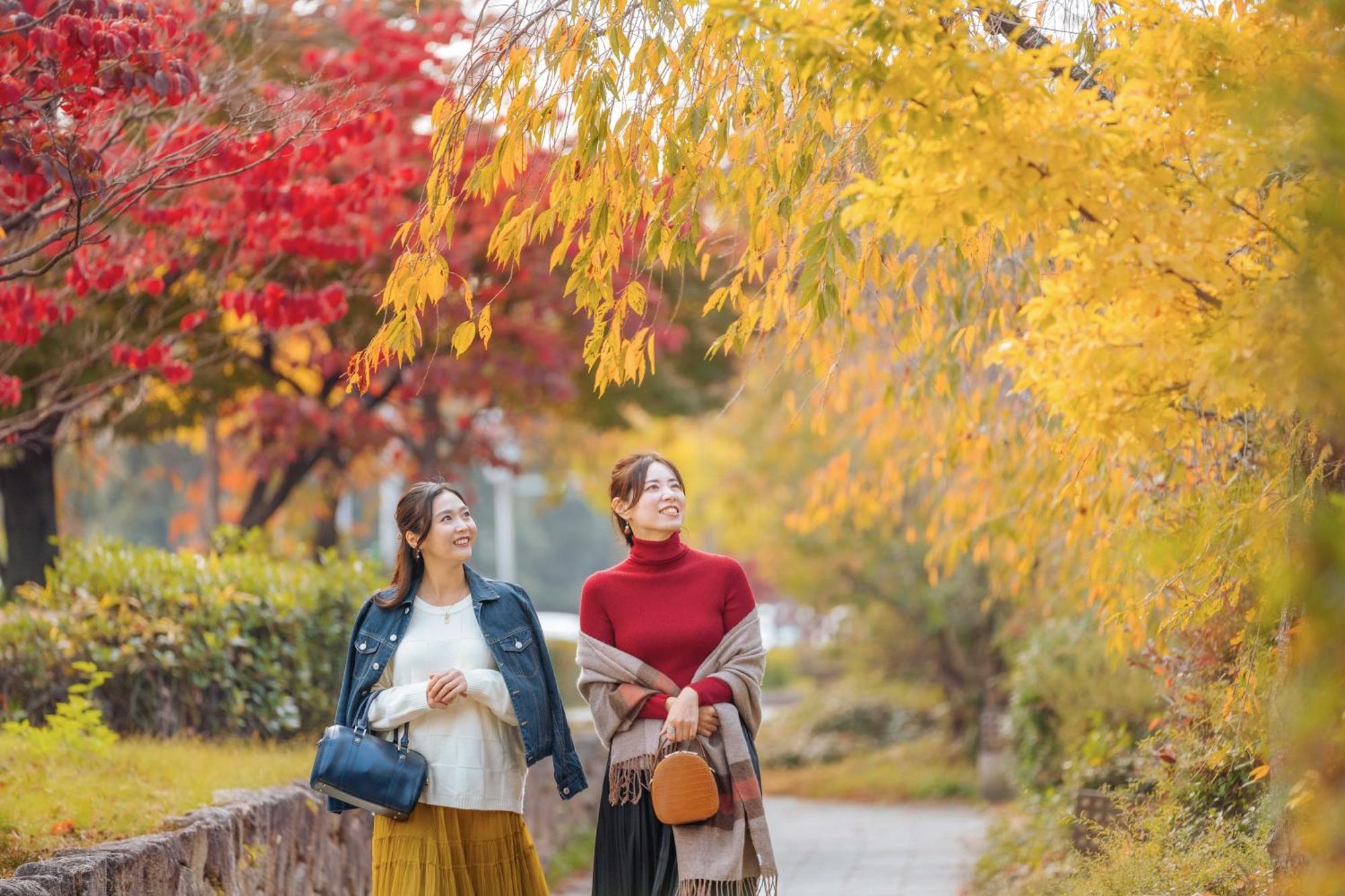 Omo5 Kyoto Sanjo By Hoshino Resorts Zewnętrze zdjęcie